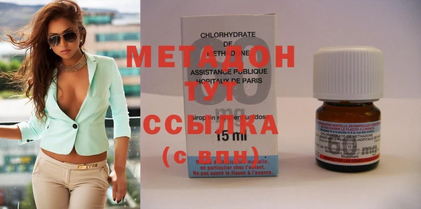 прущие грибы Ступино